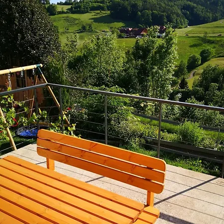 Apartamento Belchenliebe *