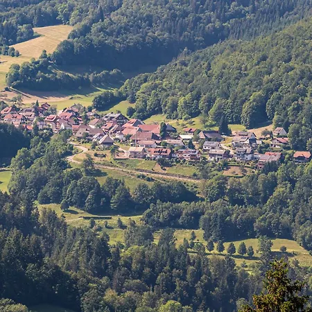 Belchenliebe Apartamento Schonenberg