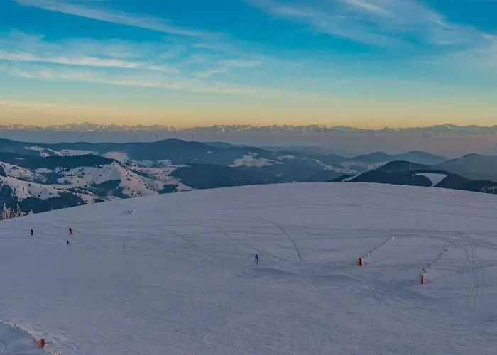 Appartement Belchenliebe