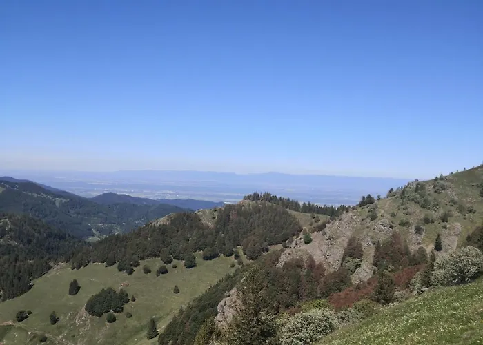 Belchenliebe Appartement *