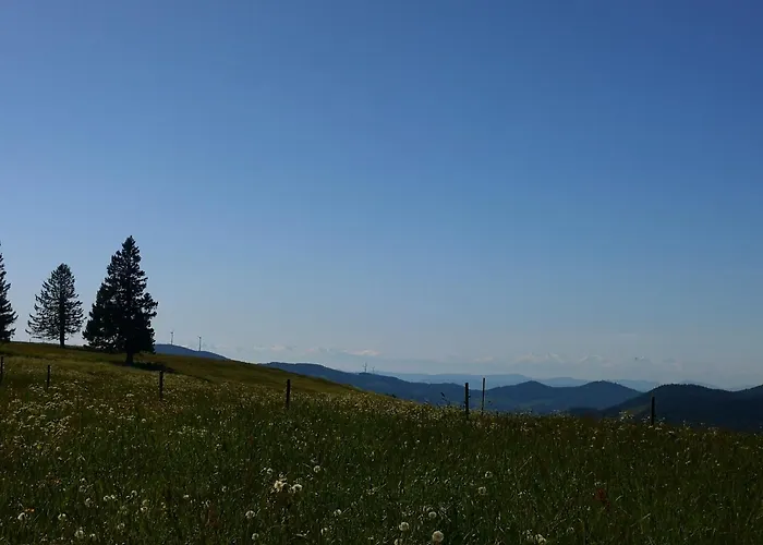 Belchenliebe Appartement Schonenberg